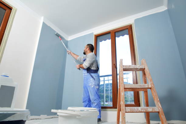 Best Black Mold Removal  in St Michael, MN