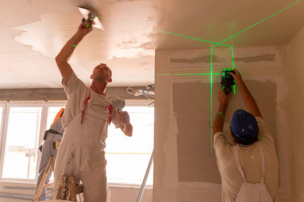 Best Indoor Air Quality Assessment  in St Michael, MN