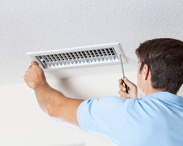 Best Emergency Mold Remediation  in St Michael, MN