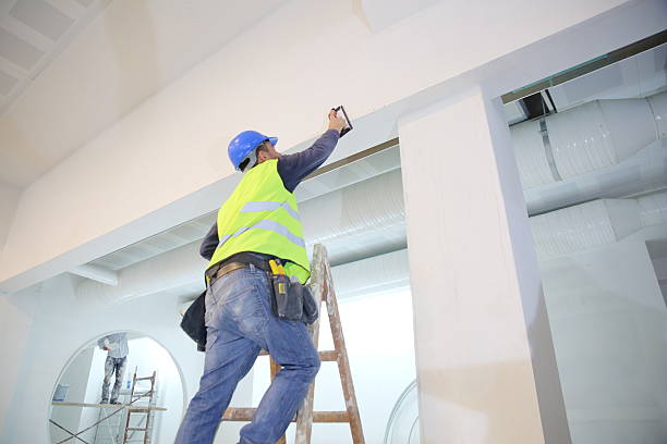 Best Comprehensive Air Testing for Mold Contaminants  in St Michael, MN