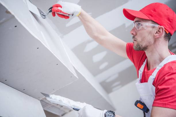 Best Mold Removal for HVAC Installations  in St Michael, MN